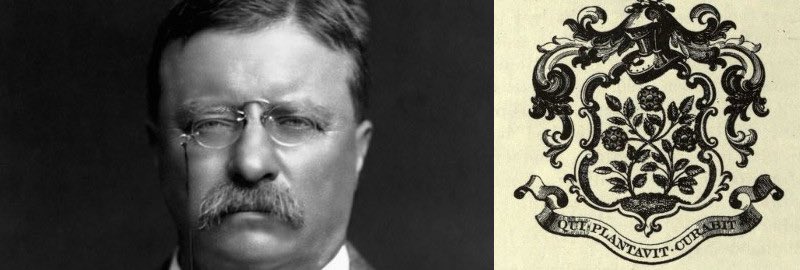 X \ Oliver Reedquest على X: "Theodore Roosevelt, a tattoo enthusiast, had a tattoo of his family crest across his entire chest. https://t.co/vtA2LS2Vw2"