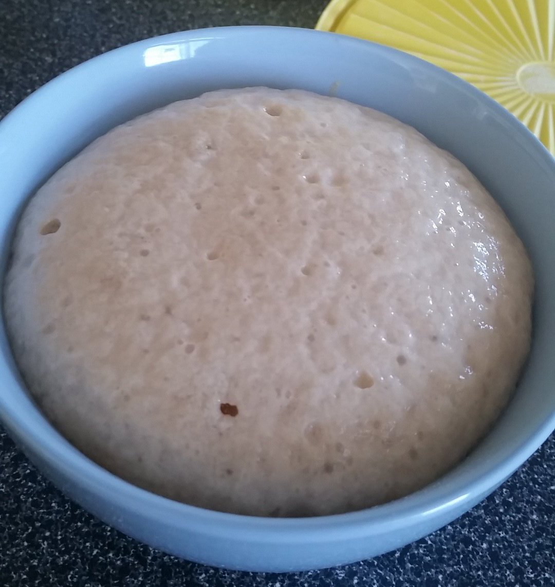 EXJoyces's tweet photo. Got a live one here! Nothing in this bowl but yeast and sugar water. #FluffyBiscuits. https://t.co/pOFwCUac2s