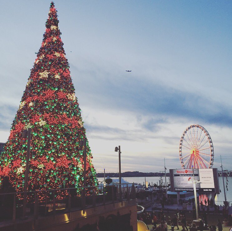 rojas_guilbert's tweet image. #Christmastime