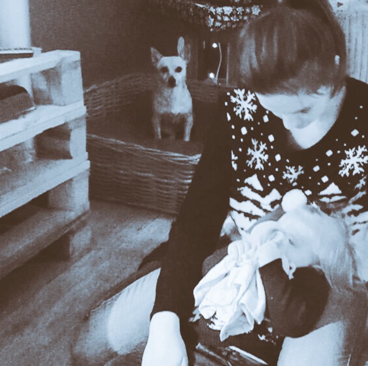 Fijne feestdagen en gelukkig nieuwjaar namens <a href="/MarlyvdVelden/">Marly van der velden</a> <a href="/XIIIMeijer/">Mike Meijer</a> en natuurlijk niet te vergeten Sammy-Rose