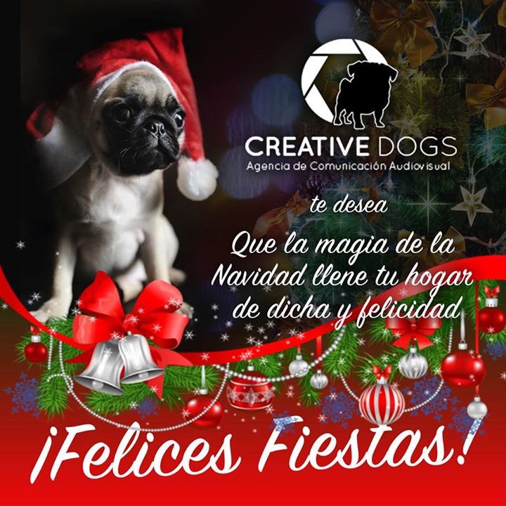creativedogsmx's tweet photo. #NocheBuena #Navidad #CreativeDogs https://t.co/9GlbgdofWB