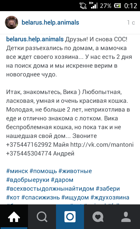 Огромный SOS! У кошечки есть только 2 дня, находится в усыпалке. Давайте найдём ей дом🙋
<a href="/elkasinger/">Певица Ёлка</a> можно репостик?🙏