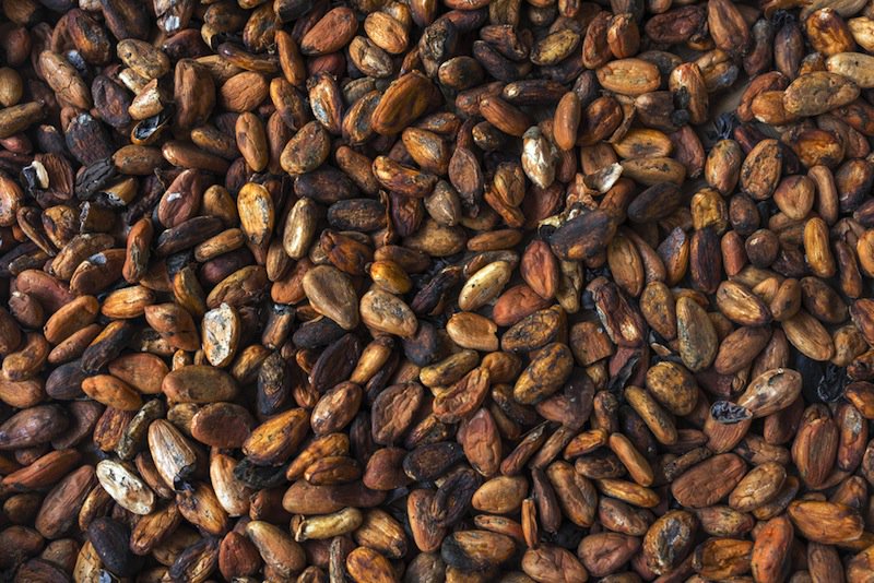 1U801TheWebcast's tweet photo. RT @podmedic: Cocoa Helps Kidney Patients Stave Off Heart Failure https://t.co/pwNVLe5crd #chocolate https://t.co/cOo94SQOcv