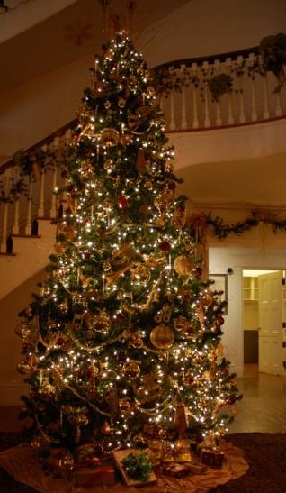 Pose4MeCodyK's tweet photo. It's Xmas Eve!  Hope everyone has a great holiday !!!! https://t.co/4I1PyN3wEU