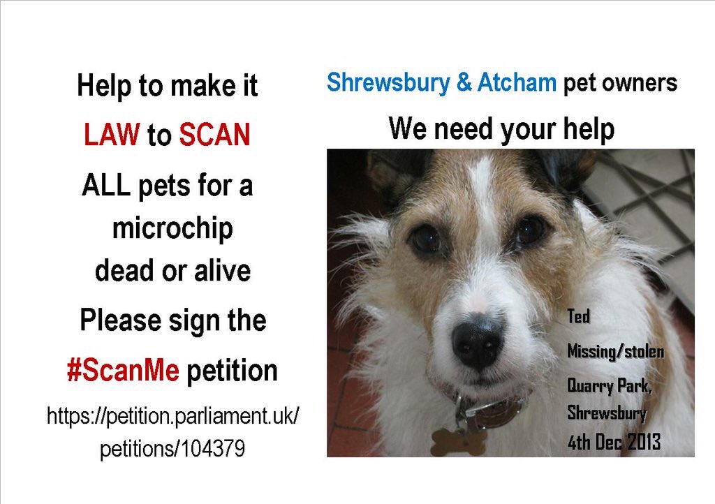 Mollie pug 2 tweet media