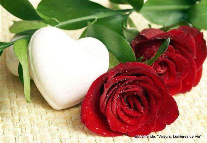 Jaan Khan tweet media