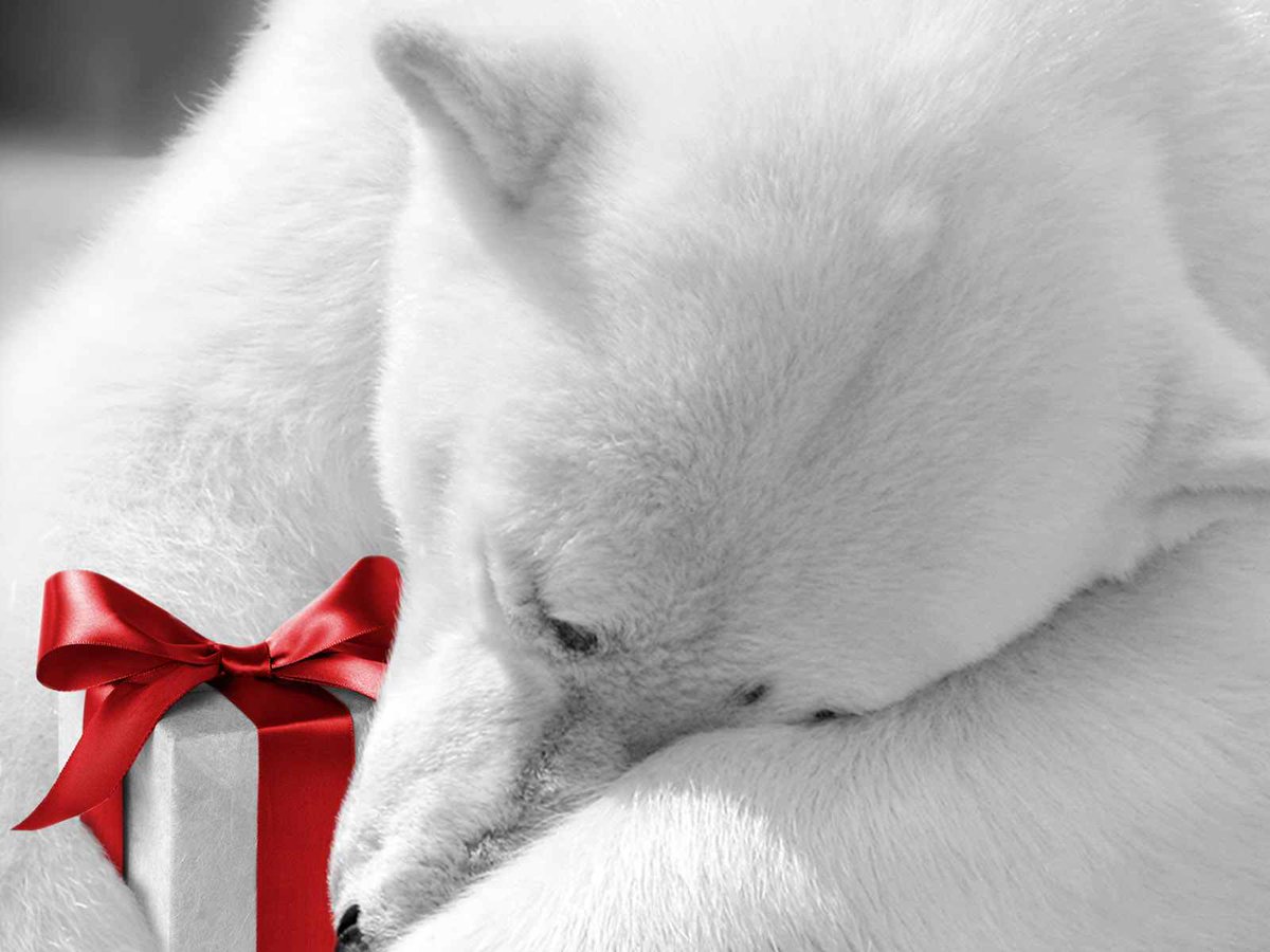 Simonpure tweet media