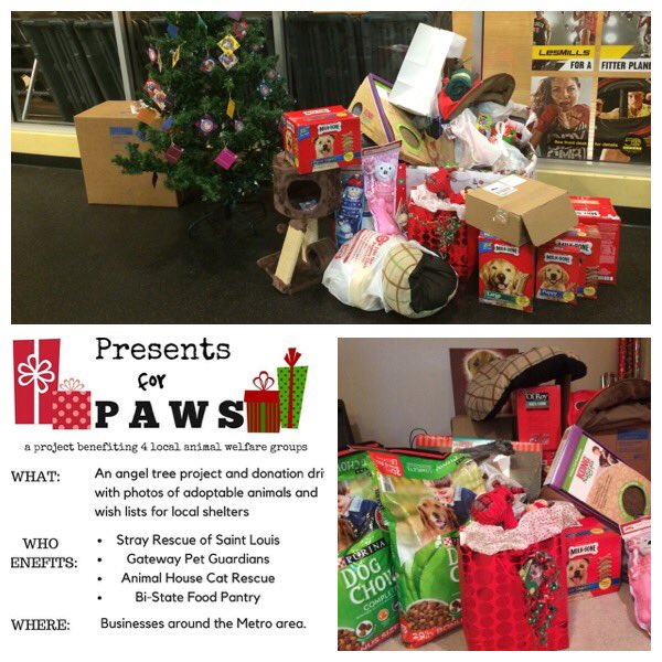 RuHawk1's tweet photo. @GoldsGym is rocking the donations for #PresentsForPaws @AnimalHouseCats @StrayRescue @gatewaypets @STLpetpantry https://t.co/LxjBIGbaKe