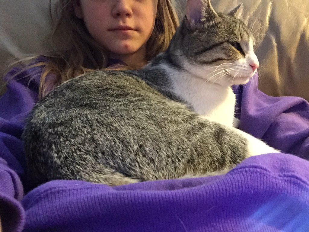 jennaajozeph's tweet photo. @RelaxMyCat remember her https://t.co/OOqlRf53Kk
