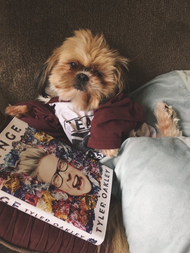 tyleroakley's tweet photo. oh my gosh everyone is getting BINGE for the holidays that makes me so happy 😭🍬📚🎁🙌🏼 (https://t.co/2YeRg2gu5o) https://t.co/6k27zRhV27