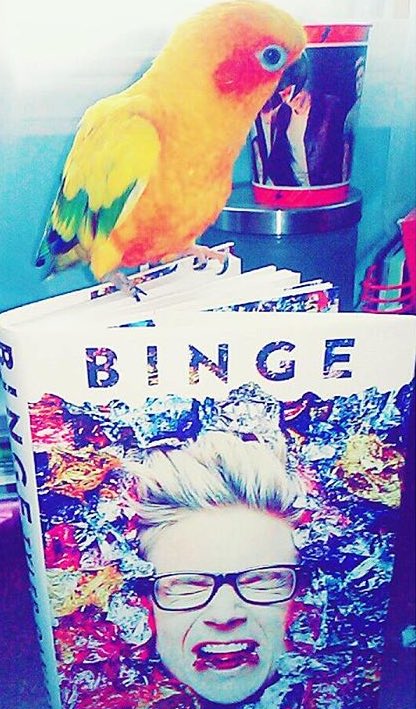 tyleroakley's tweet photo. oh my gosh everyone is getting BINGE for the holidays that makes me so happy 😭🍬📚🎁🙌🏼 (https://t.co/2YeRg2gu5o) https://t.co/6k27zRhV27