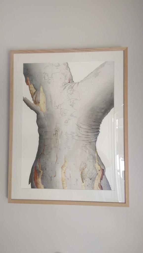 tonywalker1's tweet image. ...so I bought a present to mixed reviews. Behold David Mackay&apos;s clever Scribbly Gum in suggestive pose #davidmackay