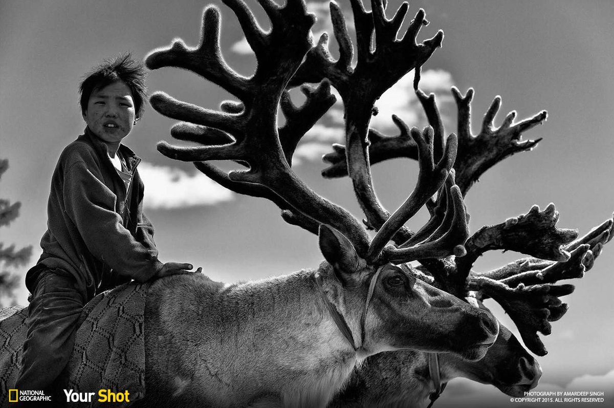NatGeoPhotos's tweet photo. Top Shot: My Deer Boy! https://t.co/XG9d848YUP #TopShot #YourShot https://t.co/2jElGFk3XX