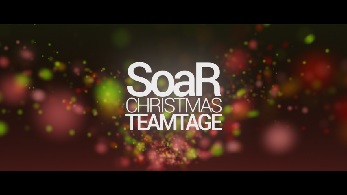 SoaRGaming's tweet image. SoaR Christmas Teamtage tomorrow!!