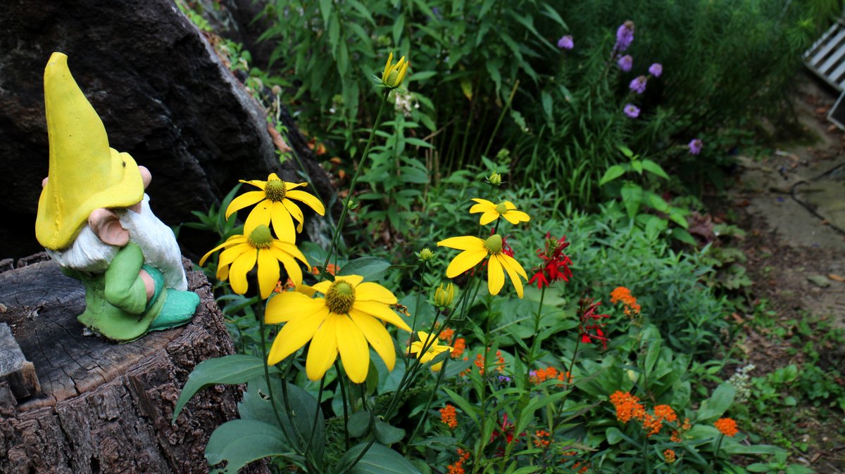 Merry Christmas everybody, from our Gnome to yours.