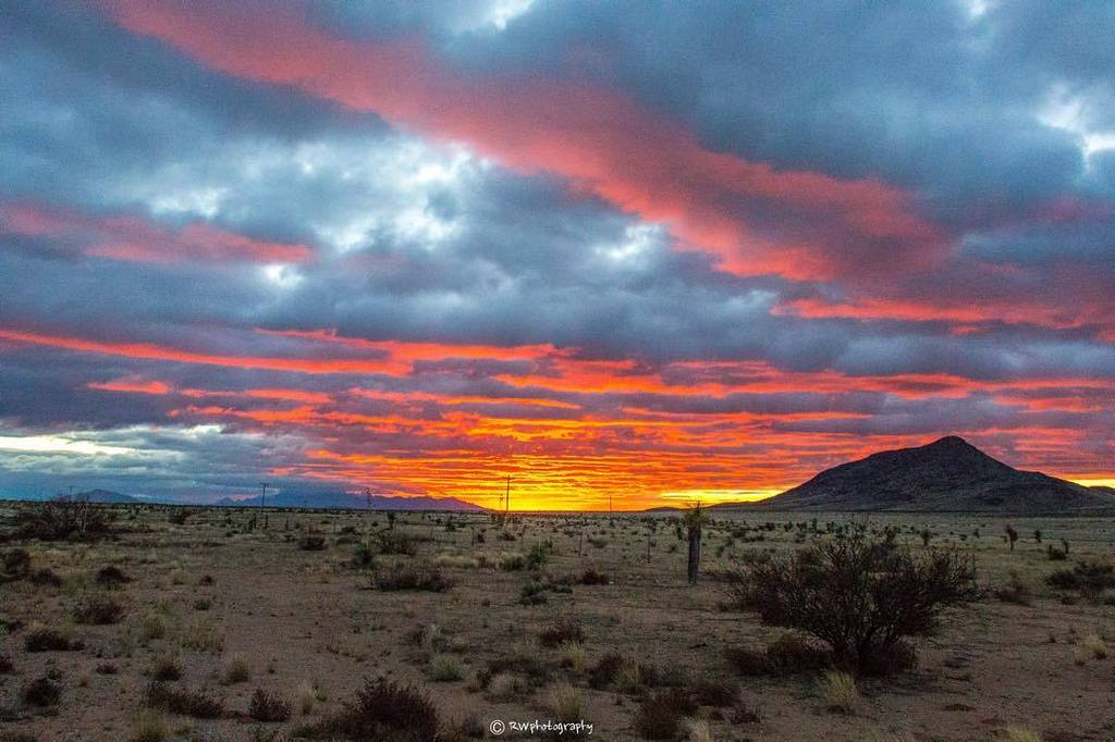 CaTurfPros's tweet image. Sunrise in New Mexico 🌵
||||||||||||||||||||||||||||||||||||||||||||||||||||||
#NewMexico #California #Igerssandieg…