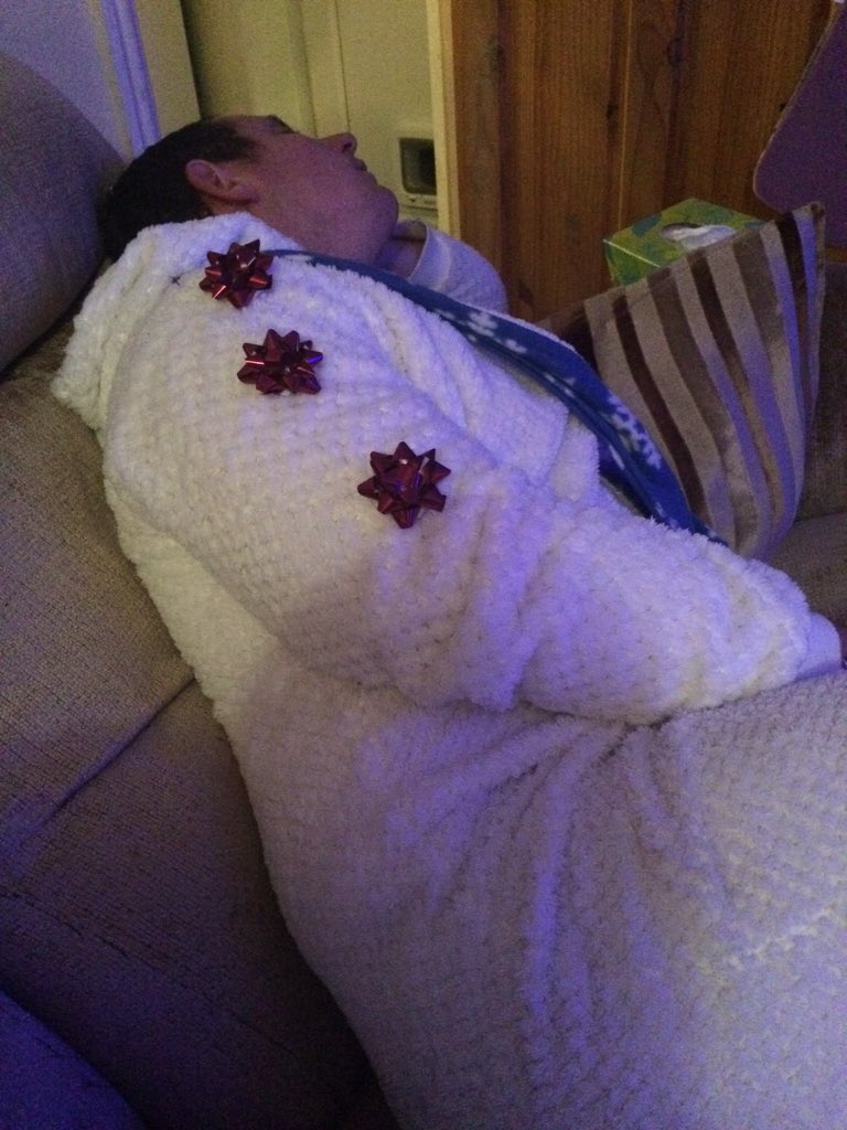 faceplant_steph's tweet photo. I'm the only one awake in my house so I'm putting bows on the sleeping ones. #bowsoncats #bowsondogs #bowsonman https://t.co/eIaPhWbZl6