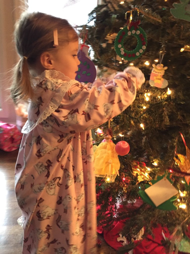 cindyacton's tweet photo. Merry Christmas from our house to yours! @HSmallGroups https://t.co/eGuy3vRQwb