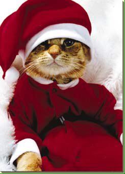 Ericas_brother's tweet photo. I would like to wish everyone a Meowy Cat-mas!!! https://t.co/l9dYLcRQm5