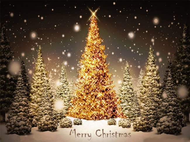 ecelljbs's tweet photo. merry christmas to all!! #keepinnovating #ecelljbs @NoidaJBS https://t.co/46M76IRhlH