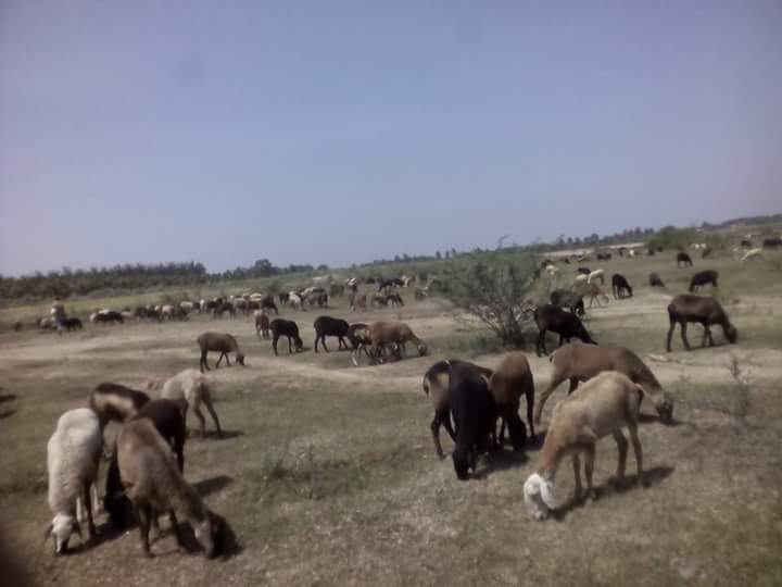 kondanconstruct's tweet image. 