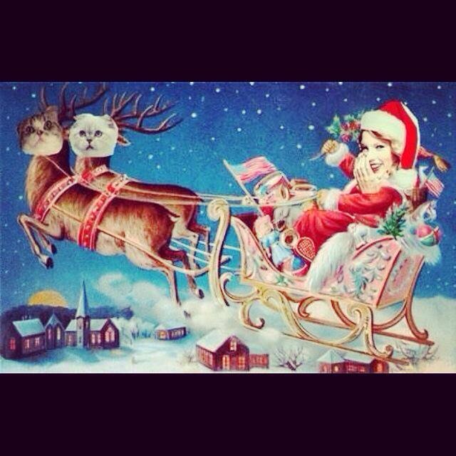 HindoxL's tweet photo. #TaylorClaus #Swiftmas #Santaswift #merryxmas #elfswift #TaylorSwift https://t.co/AwM7OGd7KY