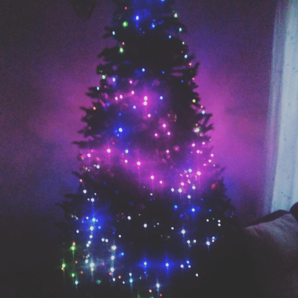 BibbleMarkets's tweet image. Weihnachtsbaum♡ merry christmas to y'all guys love yaa