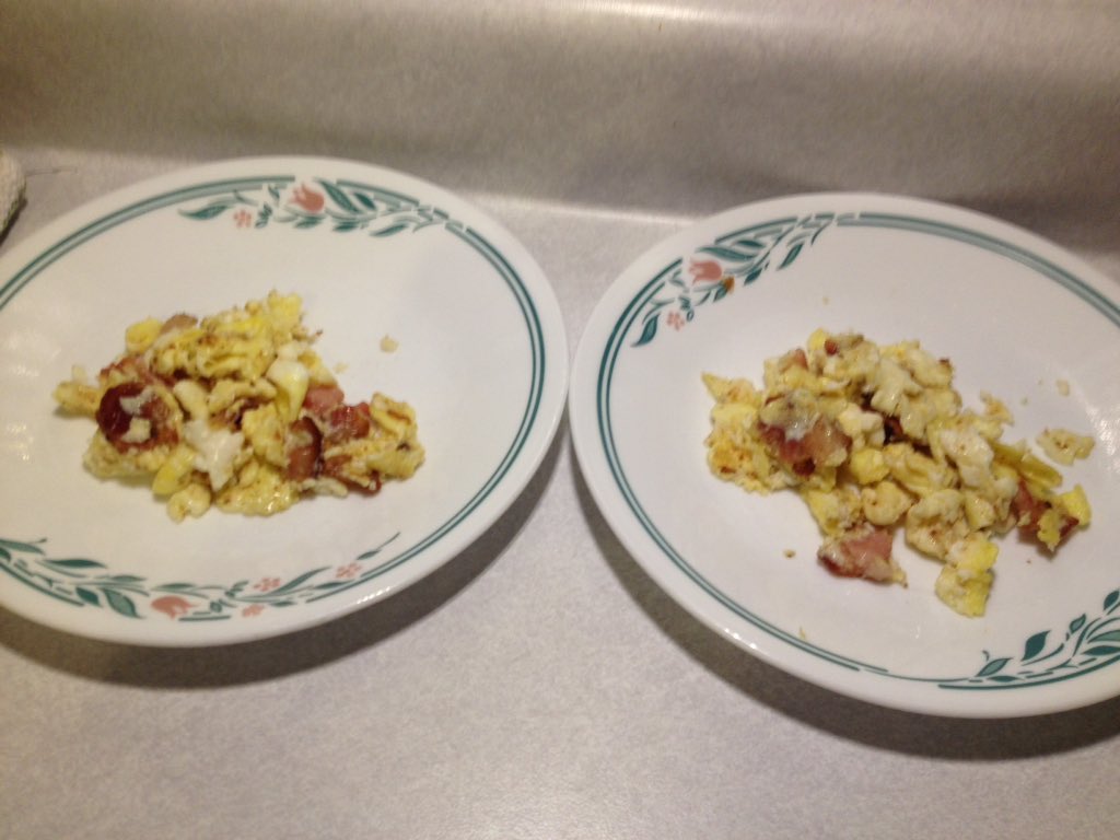 GruntsRUsCda's tweet photo. Mommy made us a special Christmas treat; a scrambled egg &amp; a strip of bacon to share. 😻 https://t.co/tYQihhYLuV