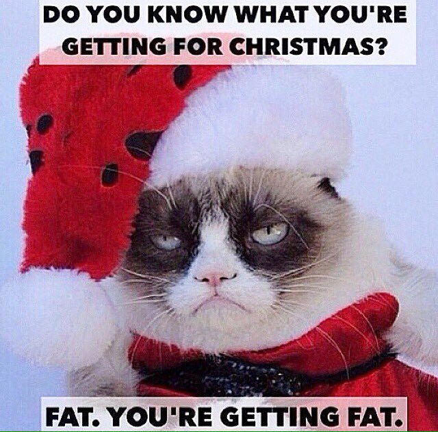 ChesterCece's tweet photo. #ChristmasEve 😂😂🐶 https://t.co/XC5DsPe4z8