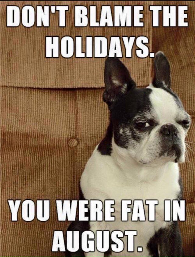 ChesterCece's tweet photo. #Christmas 😁 https://t.co/caqDVgttpf
