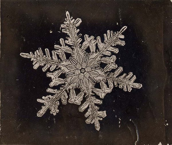 #MetTeens share some favorite holiday- and winter-themed artworks in the collection: met.org/1OiWINW