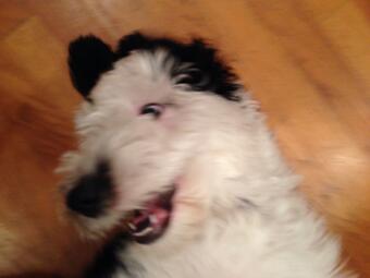 FunctionalPhil's tweet image. Áps&amp;lt;bfY3XwxtVugVnyÁppbguh𝄞Thg #apxt JxnZ0FOq