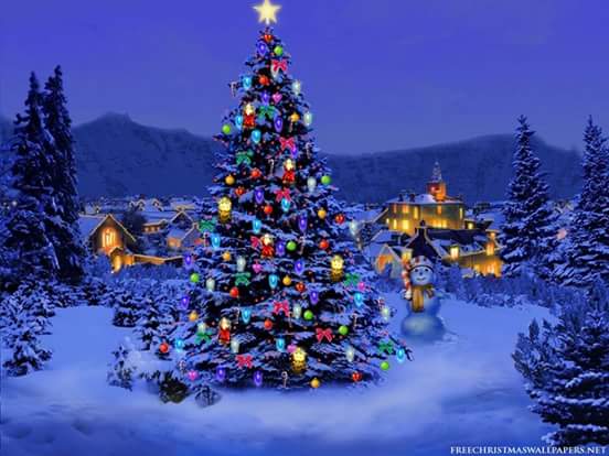 satishsatyarthy's tweet image. Merry Christmas to all...