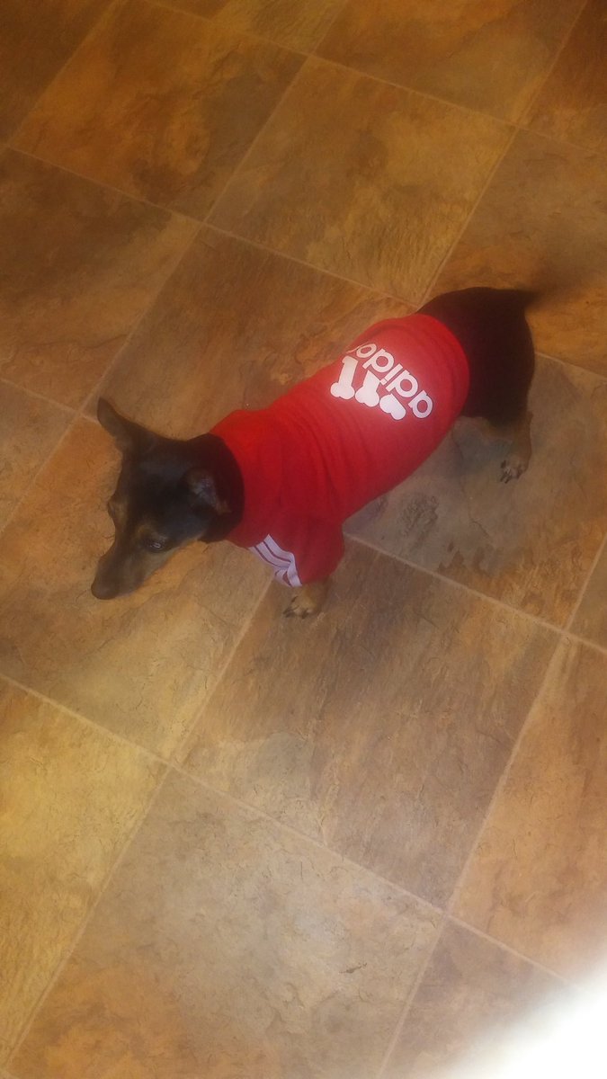 Streamoffers's tweet image. My dog fresh!! @_LoudOnly @DrummaBoyFRESH