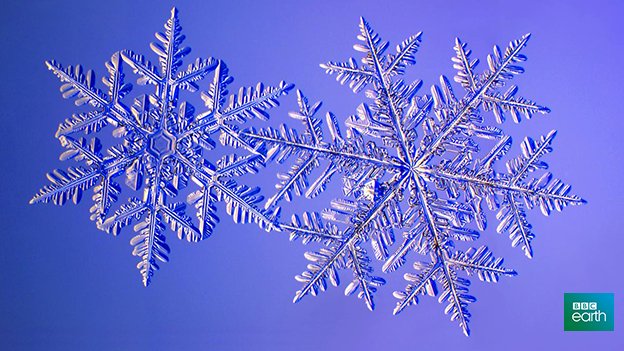 One man spent 15 years photographing snowflakes bbc.in/1Z3bnEP