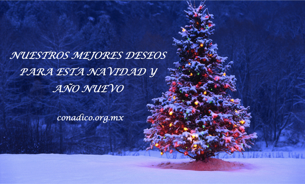 CONADICO's tweet image. 