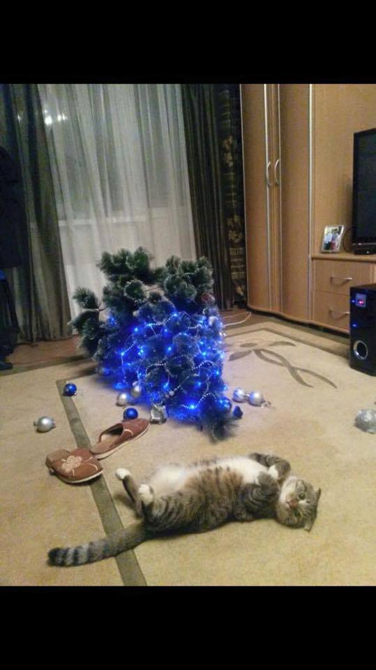 FullSpecGeek's tweet photo. The Meowsta wisheth everyone a merry christmas- apologizeth for the condition of the tree https://t.co/C78pwJ6DkU