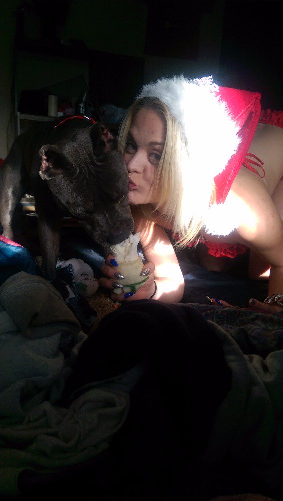 Miss_Dallas's tweet photo. #MerryChristmasEve #puppers #TeamDallas https://t.co/DsFVyZvAyM