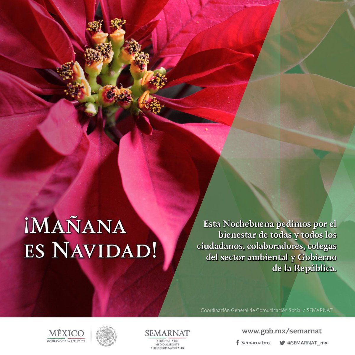 SEMARNAT México on Twitter: SEMARNAT México on Twitter: