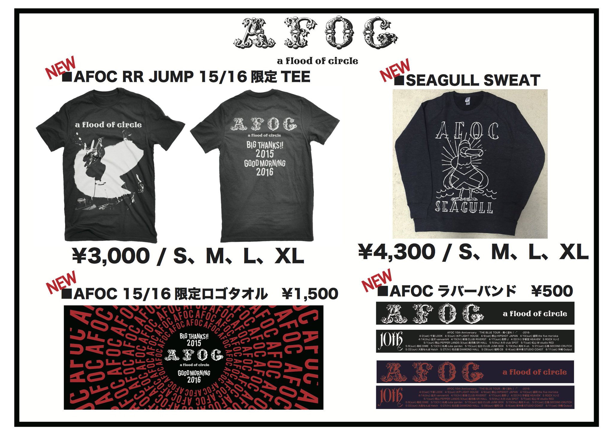 Amazon.co.jp: a flood of circle （初回限定盤