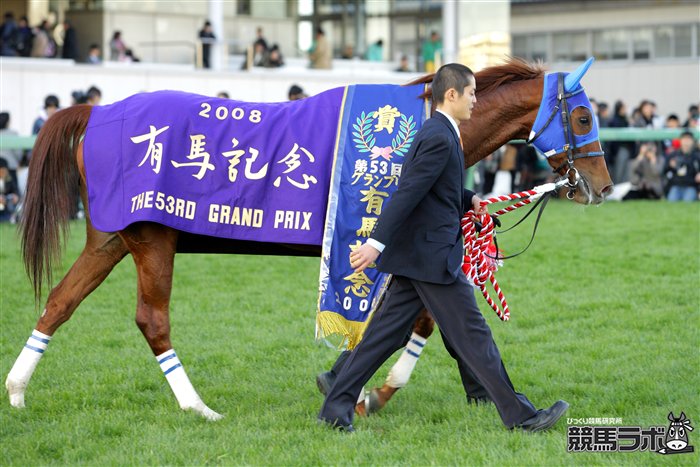 ダイワスカートレット有馬記念 本物サイズ