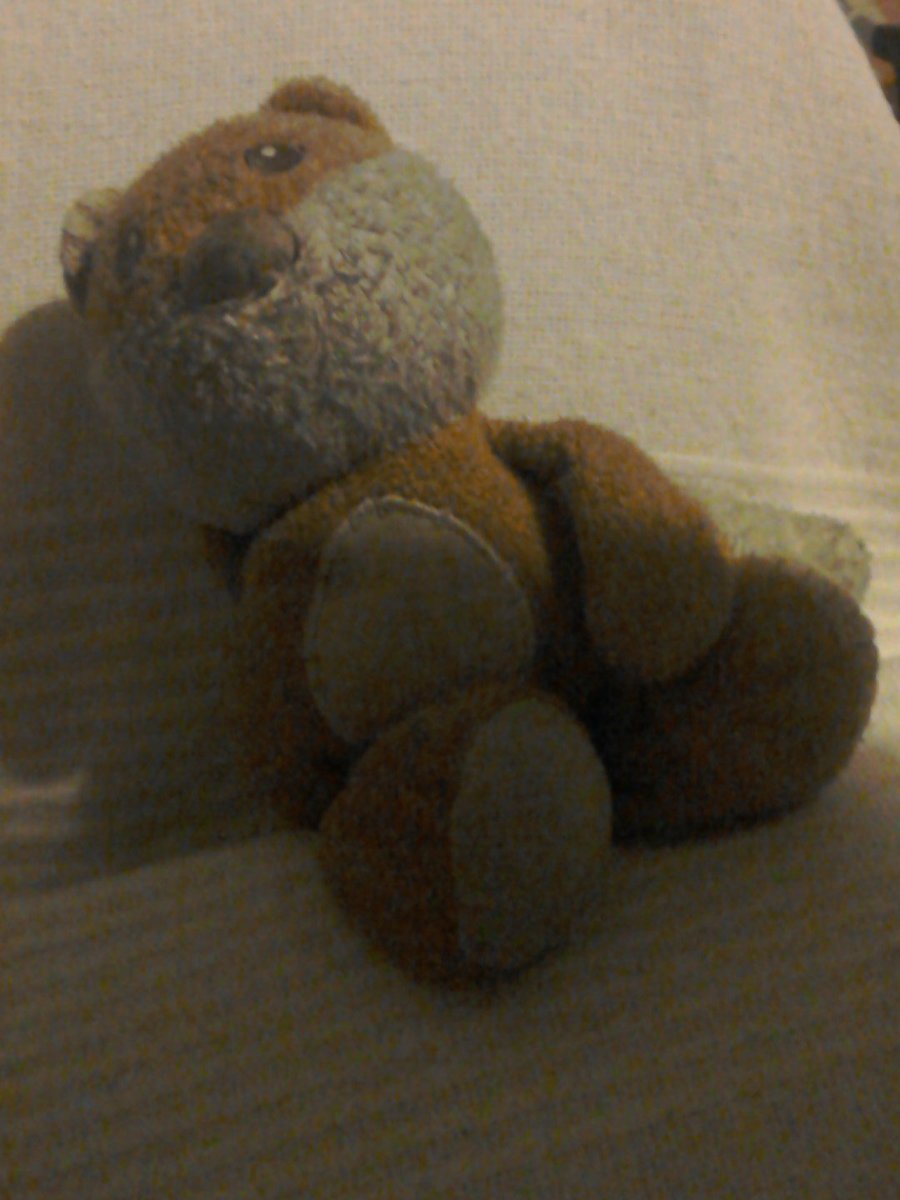 Embedded image permalink