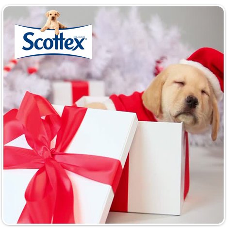 ¡Feliz Navidad-Perfecta de parte de todo el equipo Scottex®!