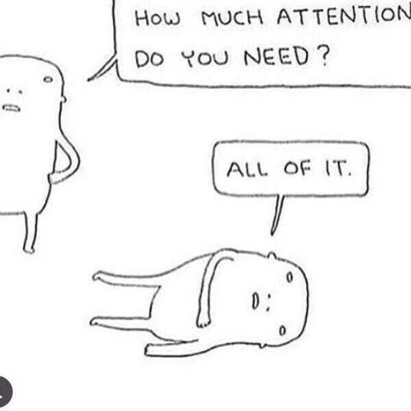 introvertsmemes's tweet photo. Dating me is like https://t.co/Lijap4vML7