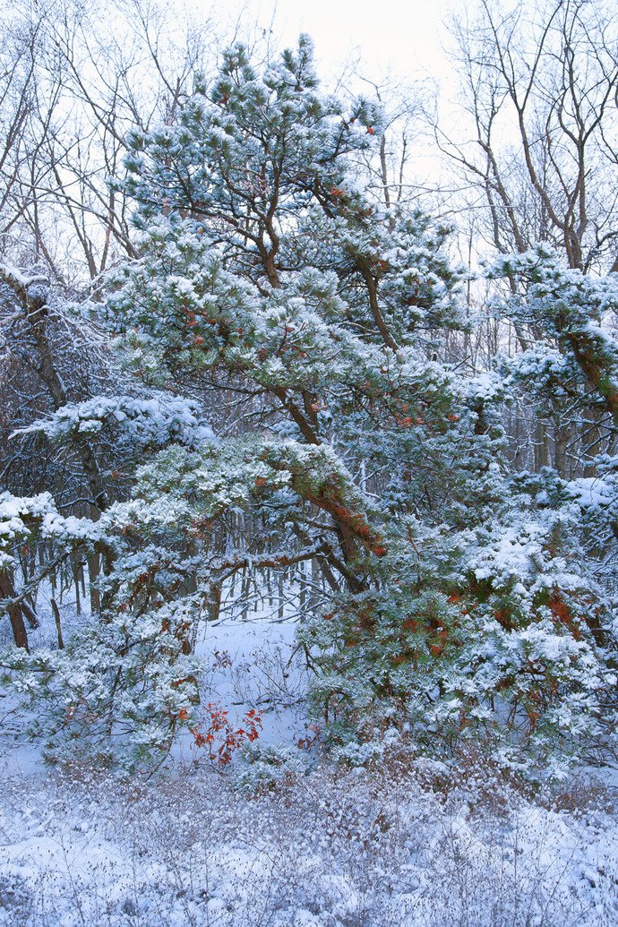 We wish you a #MerryChristmas! #Christmas <a href="/Mojarto/">Mojarto</a>