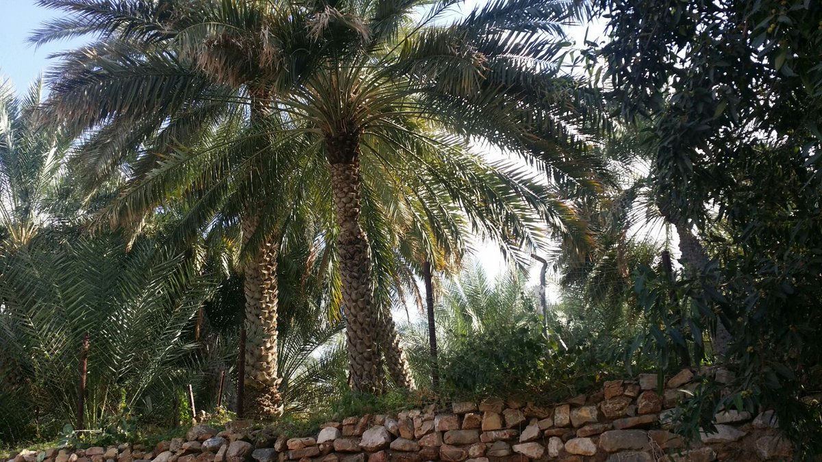 ألق السلام،ردد مع الأذان،حافظ على الأذكار،ابتسم للنّاس،احفظ شيئا من السّور ،أسعد والديك،تصدق،أركض بقلبك نحو الآخرة❤