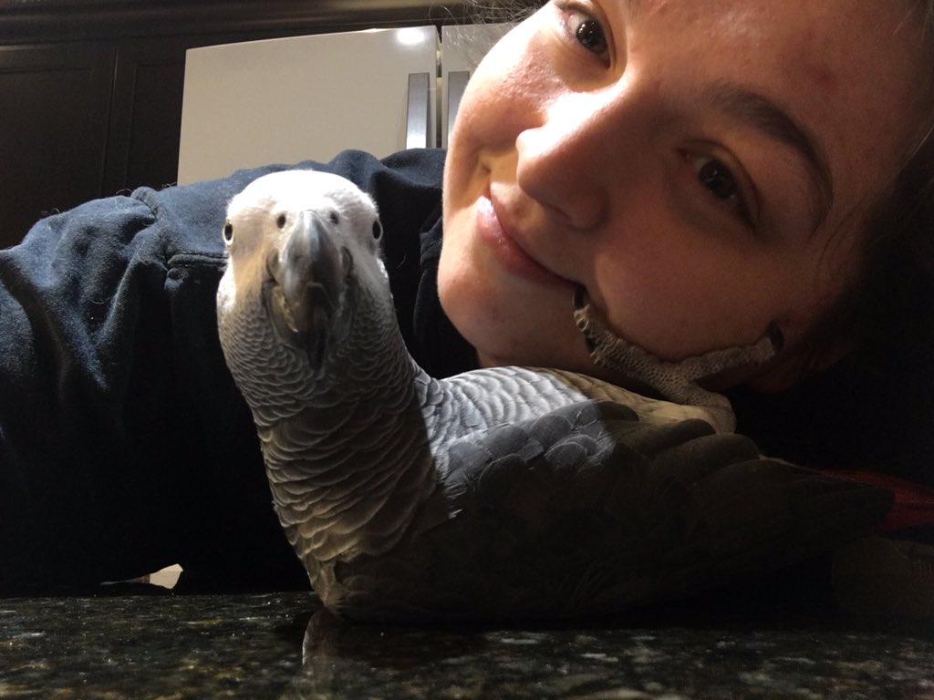 Lord_Abaddon's tweet photo. This is my human! She feeds me, keeps me clean and healthy.  So I cuddle with her because she's ma mom 😊❤️ #birdmom https://t.co/mlr46j4wAE