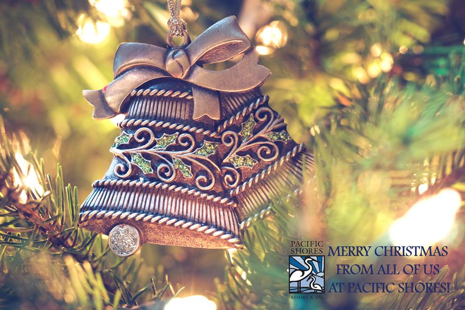 Pacific_Shores's tweet photo. Happy Holidays from #parksville! https://t.co/IgxuEgcDZJ