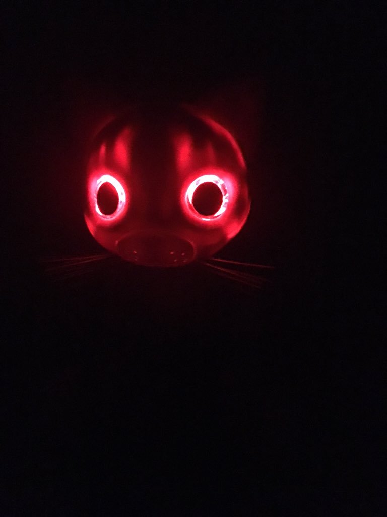 RenieMoss's tweet photo. Perhaps the most terrifying gift Santa is leaving tonight. #chargingmode #zoomerkitty https://t.co/wChqfKkk2r