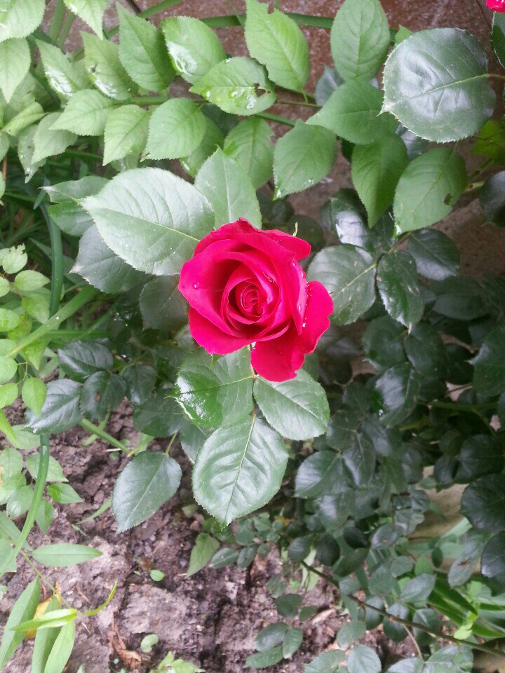 Günaydın o zaman (@ Kontaş Palas in Sakarya, Karasu) swarmapp.com/nimett00/check…